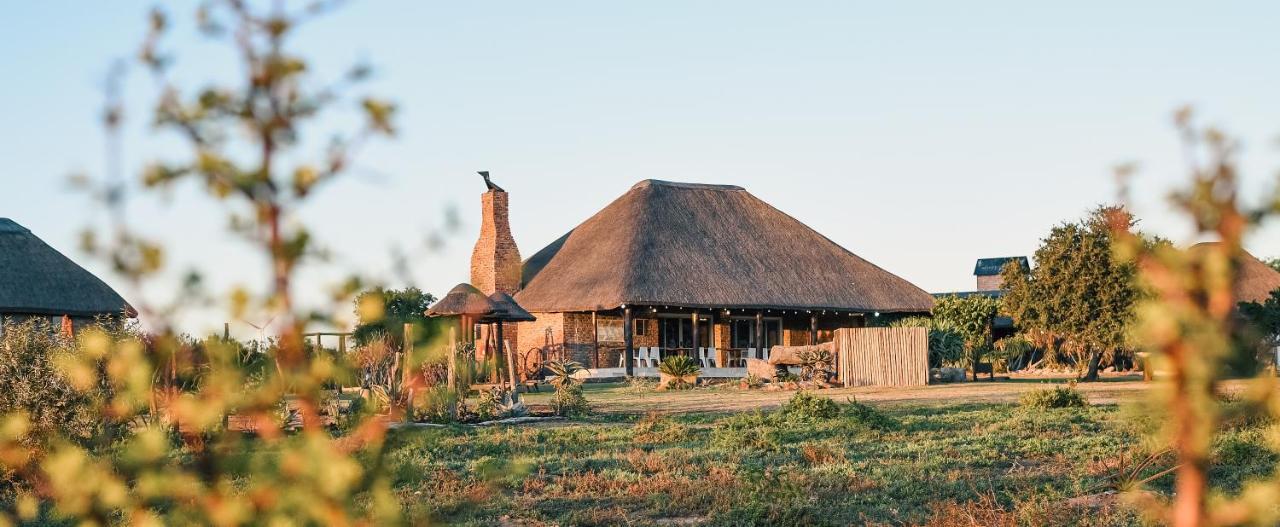 Charihandra Game Lodge Addo Dış mekan fotoğraf
